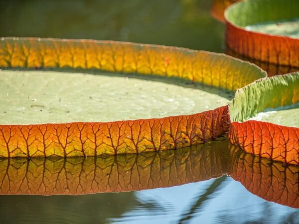 wickelauflage für malm 2026